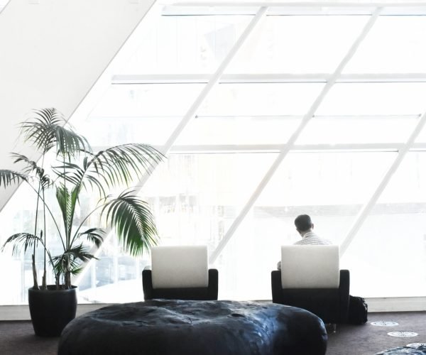 Non Profit WordPress Theme - Blog